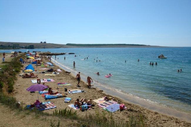Apartments Mint Povljana - 50M From Sandy Beach Kültér fotó