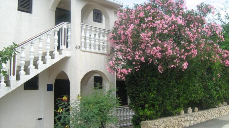 Apartments Mint Povljana - 50M From Sandy Beach Kültér fotó