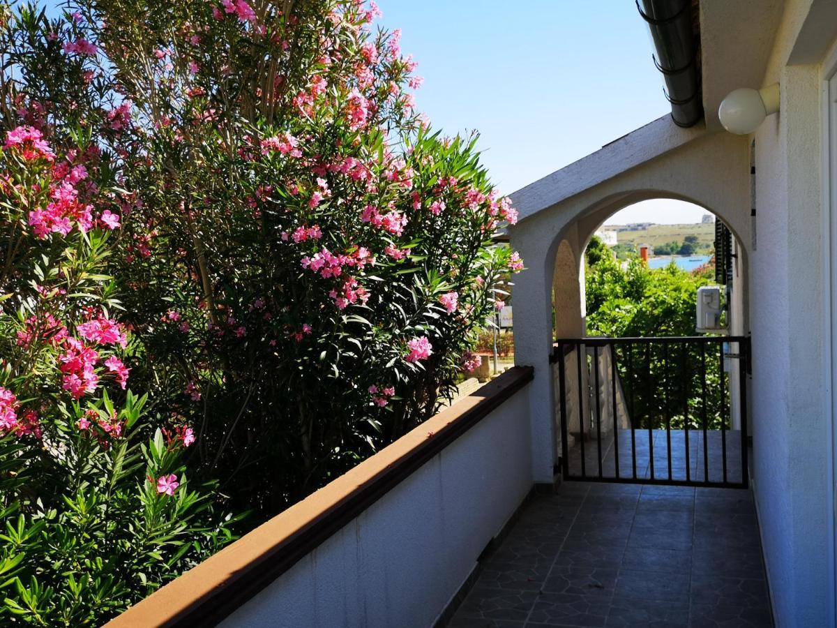 Apartments Mint Povljana - 50M From Sandy Beach Kültér fotó