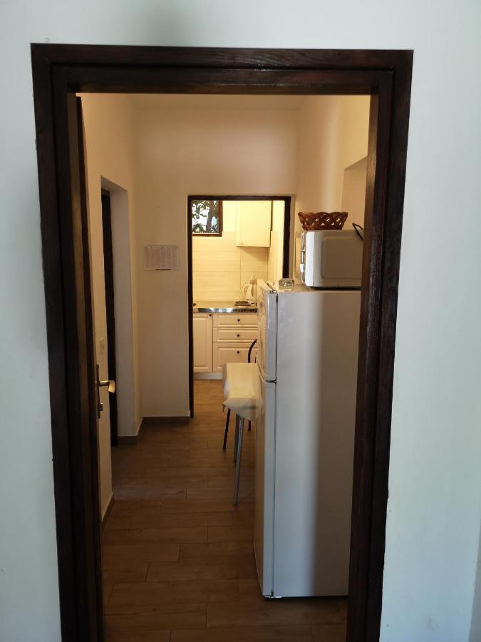 Apartments Mint Povljana - 50M From Sandy Beach Kültér fotó